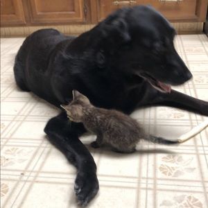 Meet your Posher, Matt